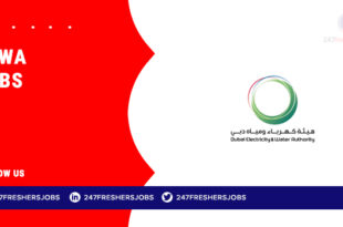 DEWA Jobs
