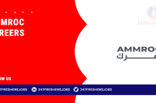 Ammroc Careers