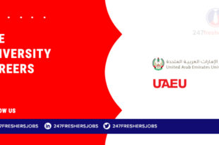 UAE University Careers